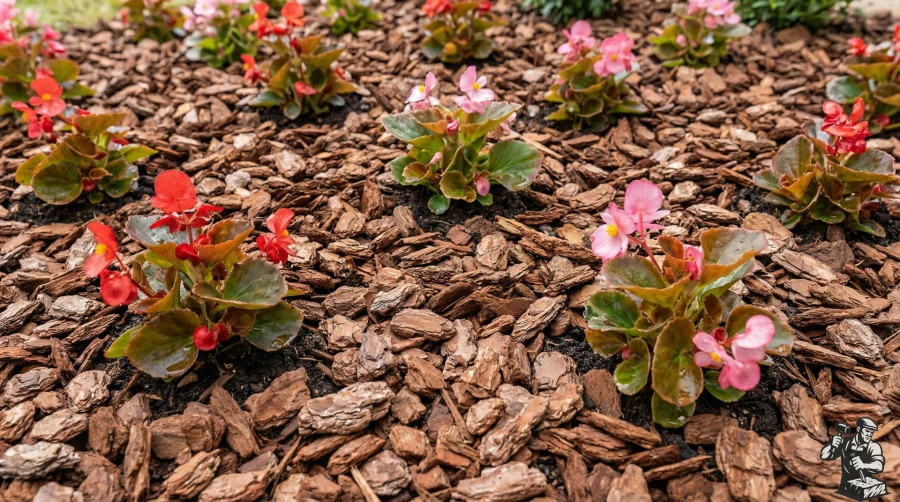 mulchirovanie-cvetnika-koroj